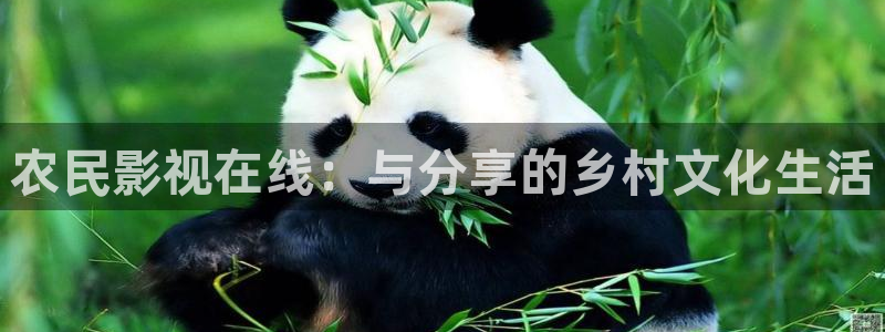 孙悟空短视频大全：农民影视在线：与分享的乡村文化生活